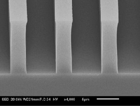 messageimage 1770884754283